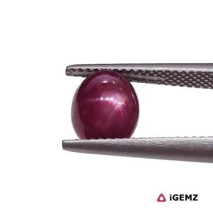 4.71 ct Red Star Star Ruby - iGemz25796