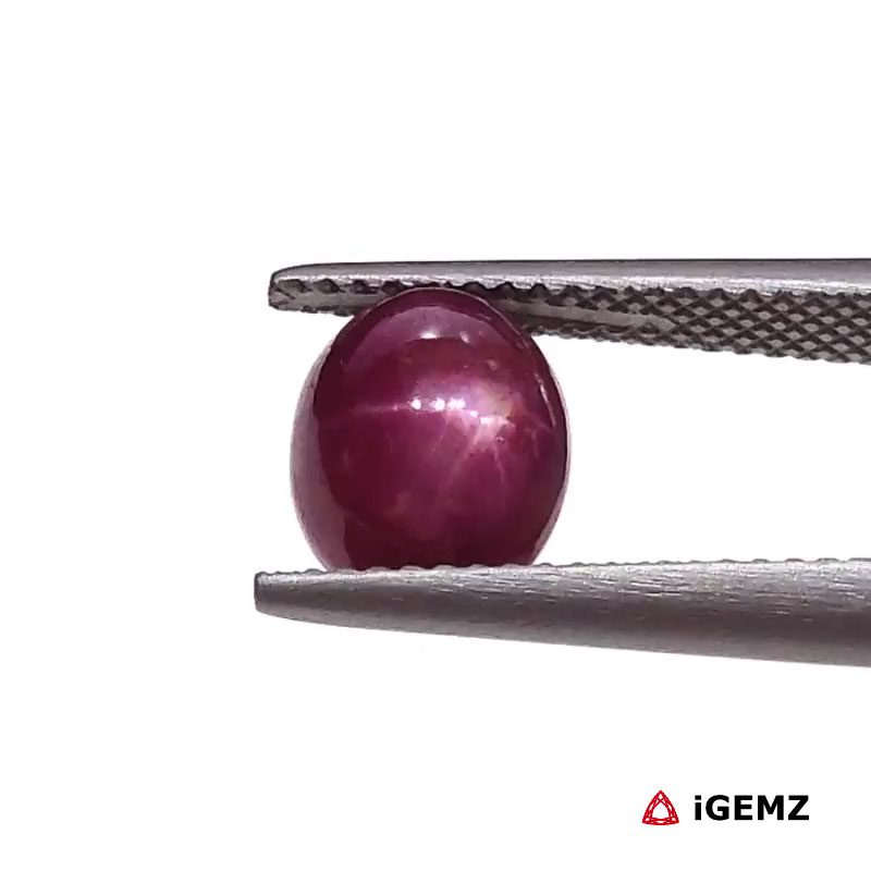 iGemz25796.1 4.71 ct Red Star Star Ruby - iGemz25796