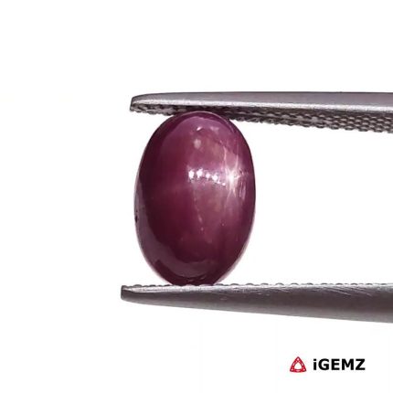 5.49 ct Red Star Star Ruby - iGemz25797