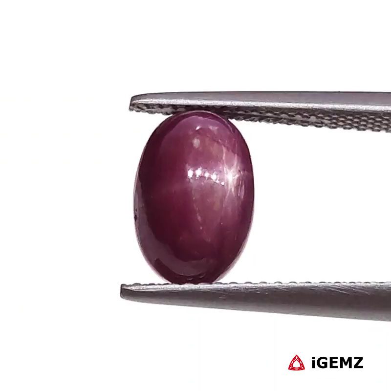 iGemz25797.1 5.49 ct Red Star Star Ruby - iGemz25797