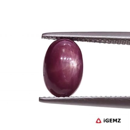 5.49 ct Red Star Star Ruby - iGemz25797