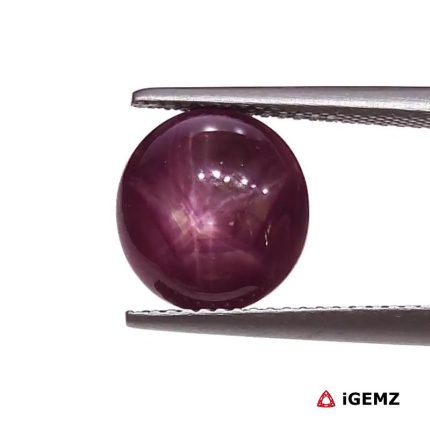 5.83 ct Red Star Star Ruby - iGemz25798