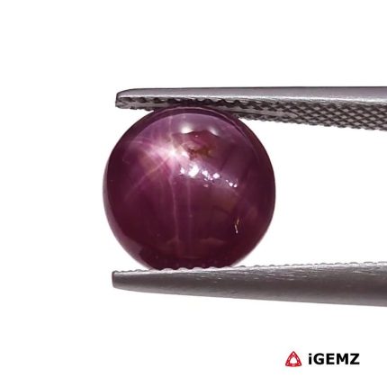 5.83 ct Red Star Star Ruby - iGemz25798