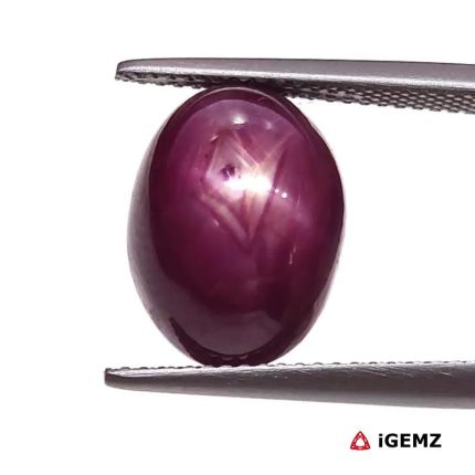 13.76 ct Red Star Star Ruby - iGemz25799