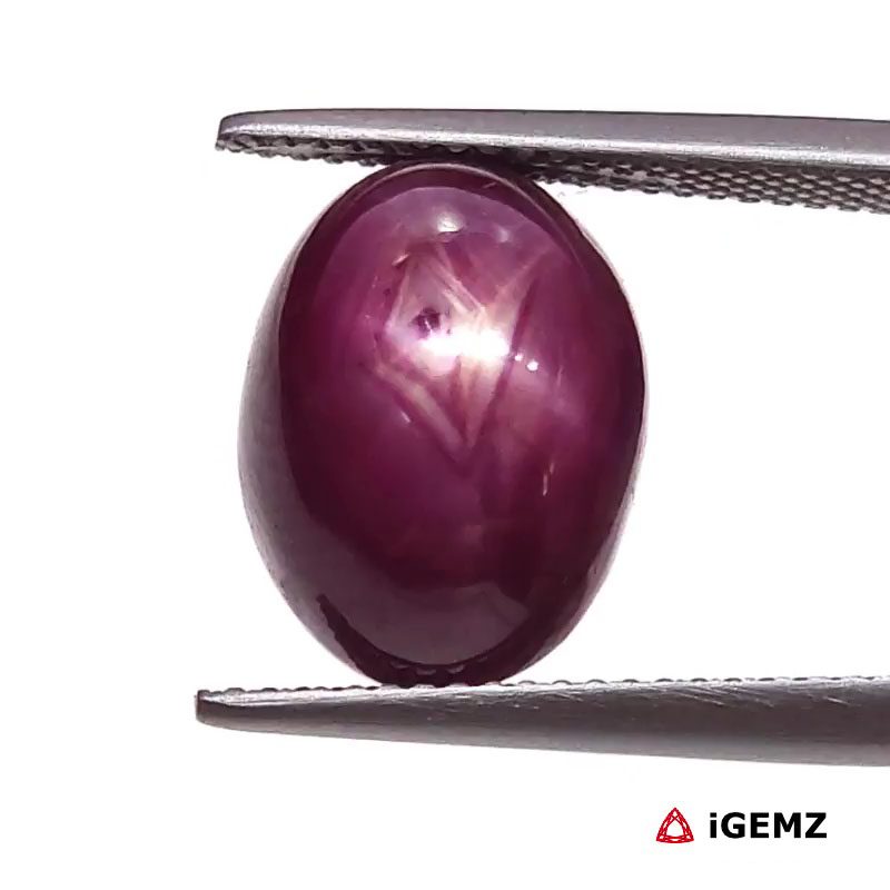 iGemz25799.1 13.76 ct Red Star Star Ruby - iGemz25799