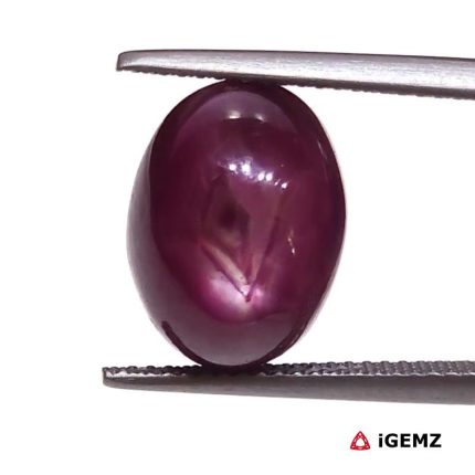 13.76 ct Red Star Star Ruby - iGemz25799