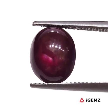 7.72 ct Red Star Star Ruby - iGemz25800