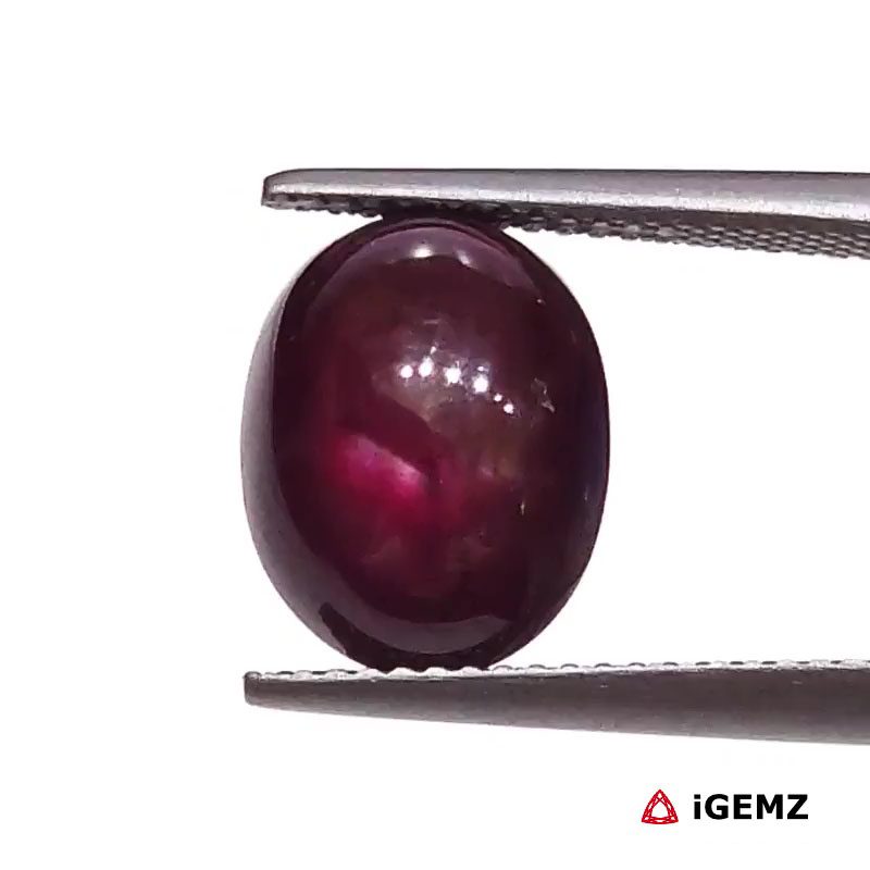 iGemz25800.1 7.72 ct Red Star Star Ruby - iGemz25800