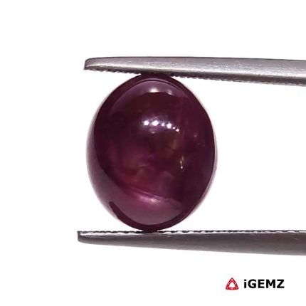 9.24 ct Red Star Star Ruby - iGemz25801