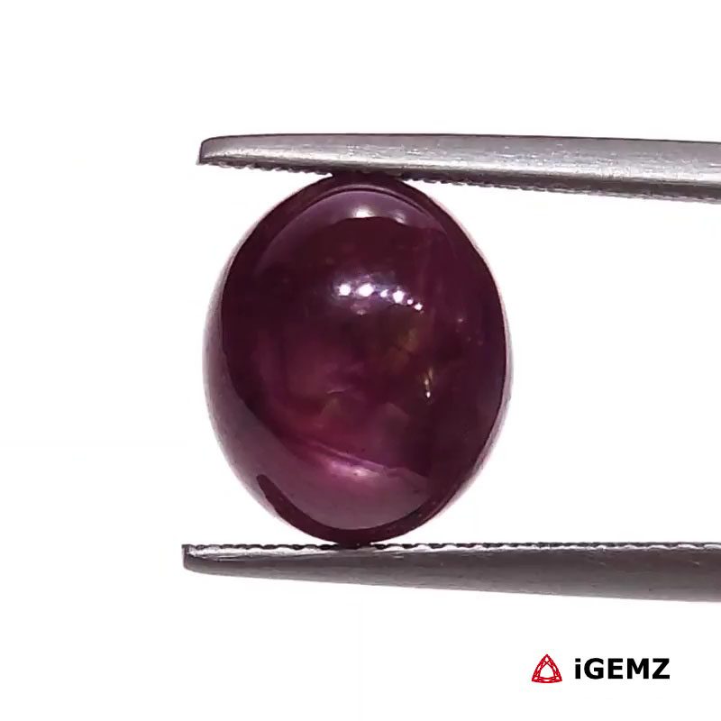 iGemz25801.1 9.24 ct Red Star Star Ruby - iGemz25801