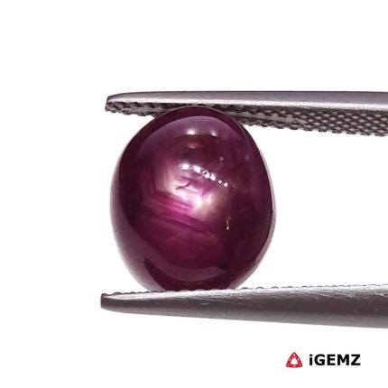 9.24 ct Red Star Star Ruby - iGemz25801