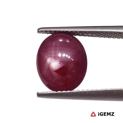6.46 ct Red Star Star Ruby - iGemz25802