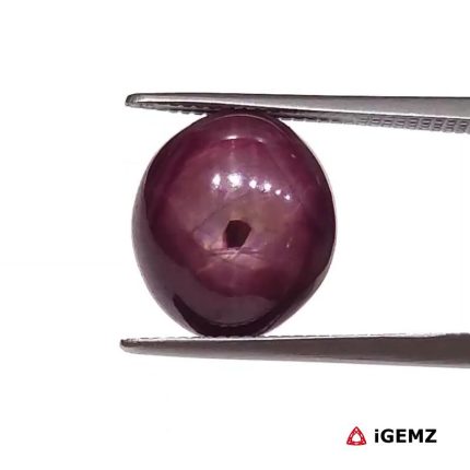 7.84 ct Red Star Star Ruby - iGemz25803