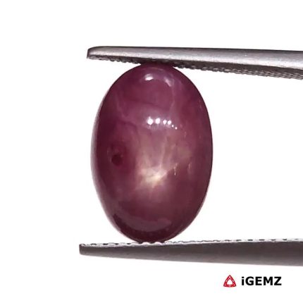 8.34 ct Red Star Star Ruby - iGemz25804