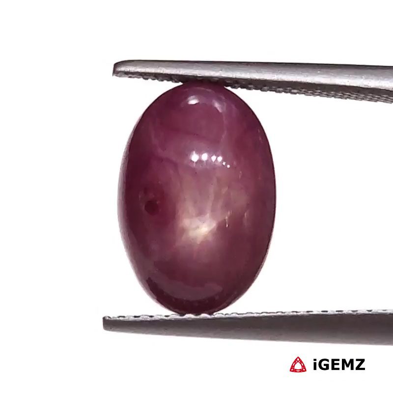 iGemz25804.1 8.34 ct Red Star Star Ruby - iGemz25804