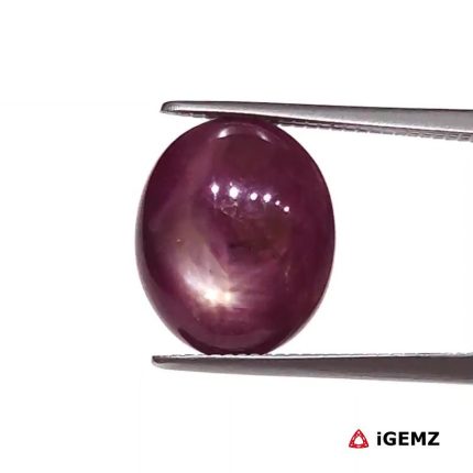 5.43 ct Red Star Star Ruby - iGemz25805