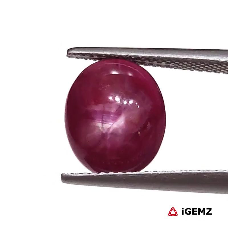 iGemz25806.1 5.92 ct Red Star Star Ruby - iGemz25806