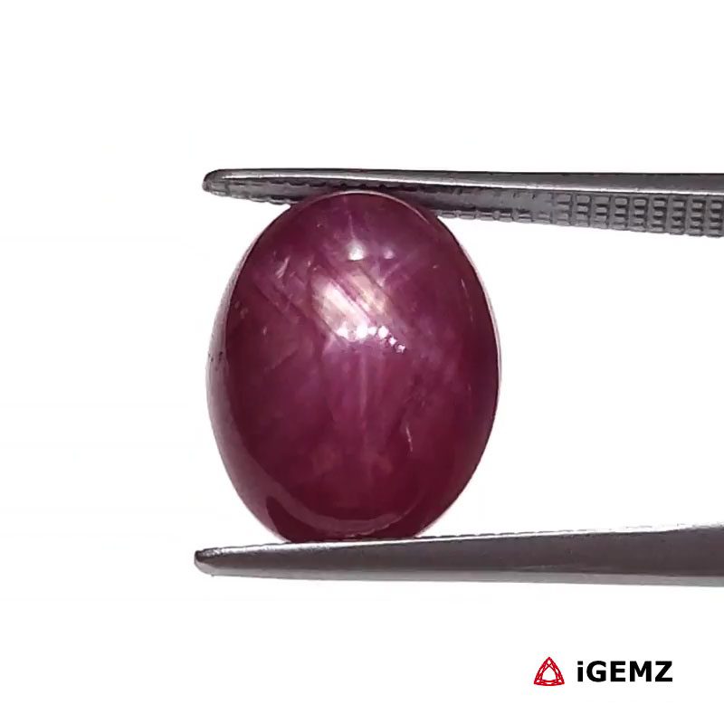 iGemz25807.1 8.67 ct Red Star Star Ruby - iGemz25807