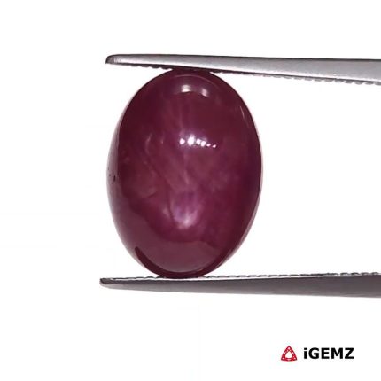 8.67 ct Red Star Star Ruby - iGemz25807