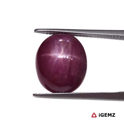 7.09 ct Red Star Star Ruby - iGemz25809