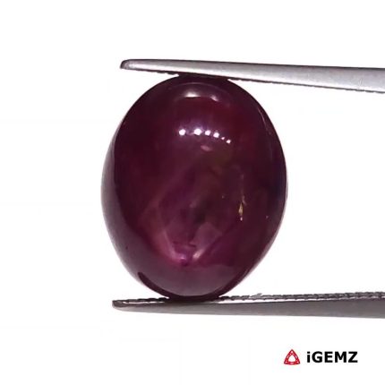 10 ct Red Star Star Ruby - iGemz25811
