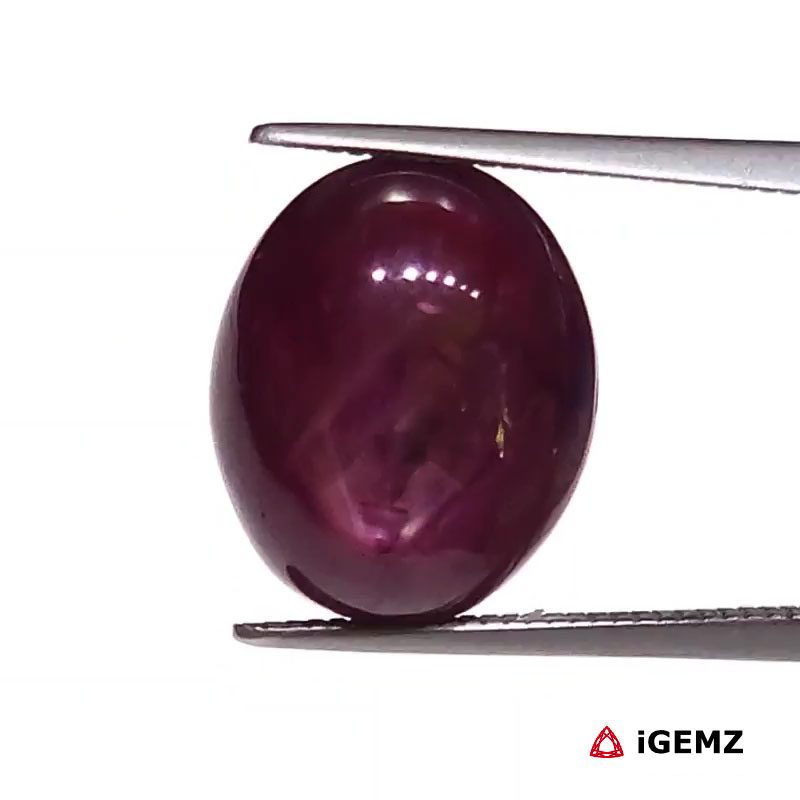 iGemz25811.1 10 ct Red Star Star Ruby - iGemz25811