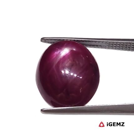 10 ct Red Star Star Ruby - iGemz25811