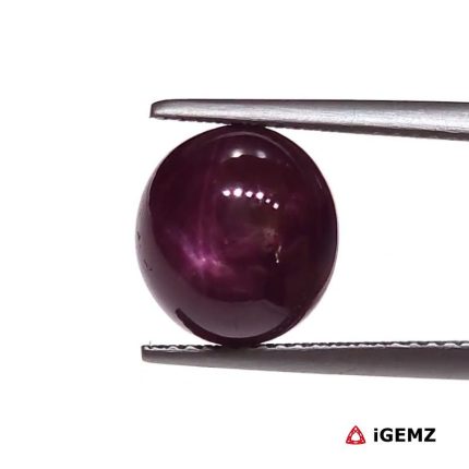 8.42 ct Red Star Star Ruby - iGemz25812