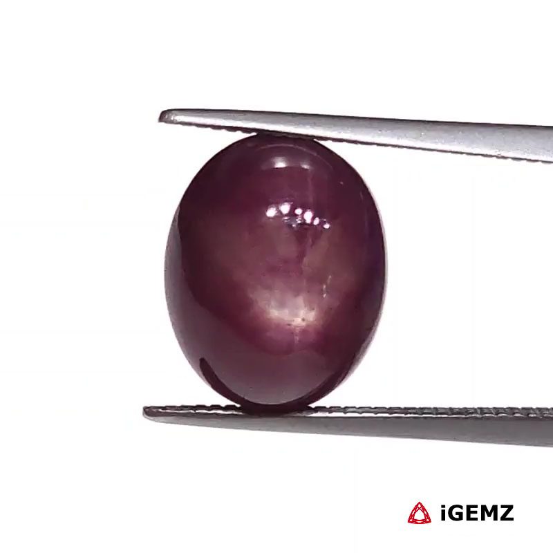 iGemz25813.1 8.32 ct Red Star Star Ruby - iGemz25813
