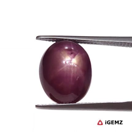 8.32 ct Red Star Star Ruby - iGemz25813