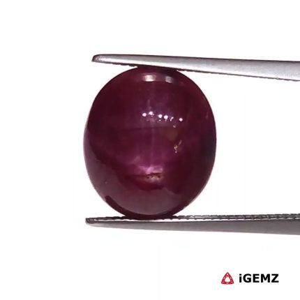 6.28 ct Red Star Star Ruby - iGemz25815
