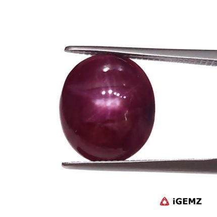 6.28 ct Red Star Star Ruby - iGemz25815