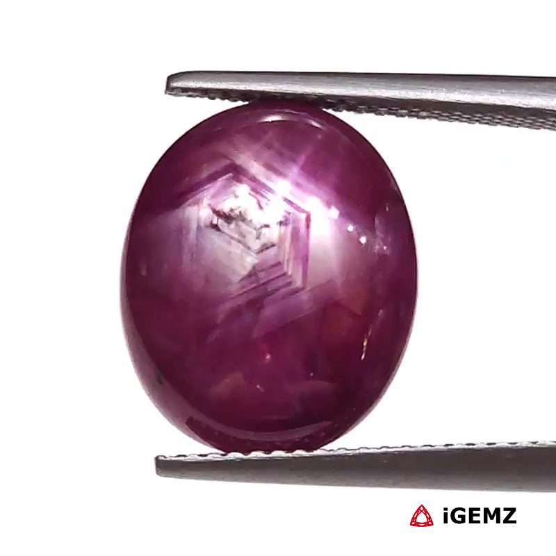 iGemz25816.1 10.31 ct Red Star Star Ruby - iGemz25816