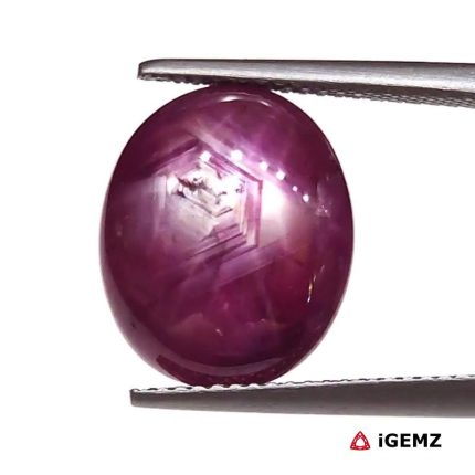 10.31 ct Red Star Star Ruby - iGemz25816