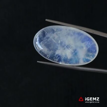 35.92 ct Blue Moonstone - iGemz21188