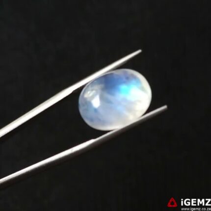12.43 ct Blue Moonstone - iGemz21198