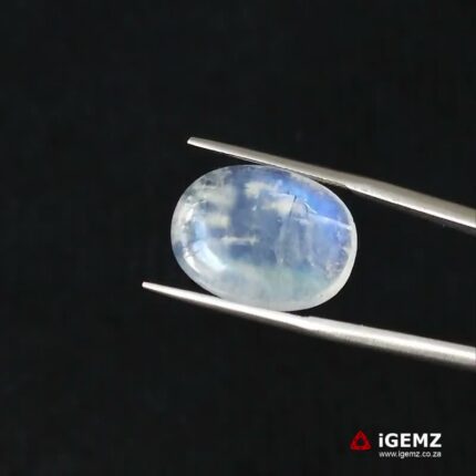 11.66 ct Blue Moonstone - iGemz21207