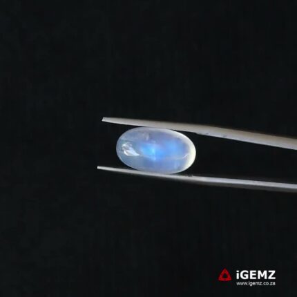 8.09 ct Blue Moonstone - iGemz21220