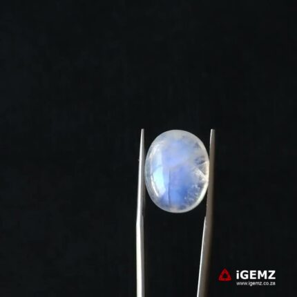 11.95 ct Blue Moonstone - iGemz21227