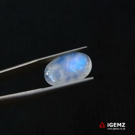 6.29 ct Blue Moonstone - iGemz21230