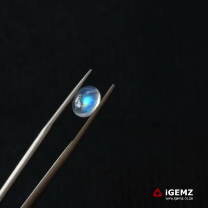 1.46 ct Blue Moonstone - iGemz21233