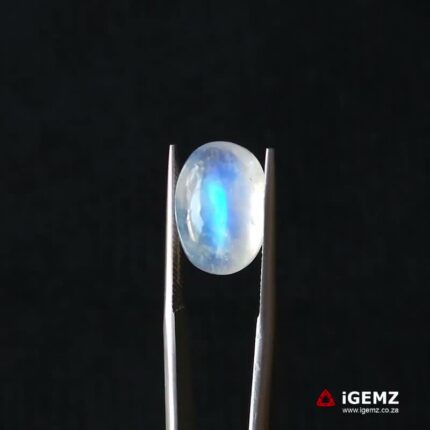 7.22 ct Blue Moonstone - iGemz21236