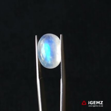 7.22 ct Blue Moonstone - iGemz21236