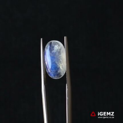 3.6 ct Blue Moonstone - iGemz21237