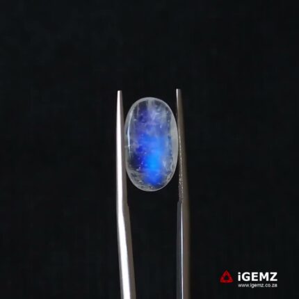 3.6 ct Blue Moonstone - iGemz21237
