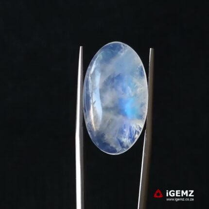15.66 ct Blue Moonstone - iGemz21241
