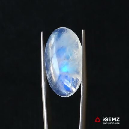 15.66 ct Blue Moonstone - iGemz21241