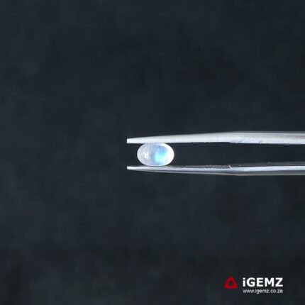 0.76 ct Blue Moonstone - iGemz21254