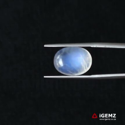 7.74 ct Blue Moonstone - iGemz21259
