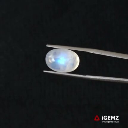 8.78 ct Blue Moonstone - iGemz21260